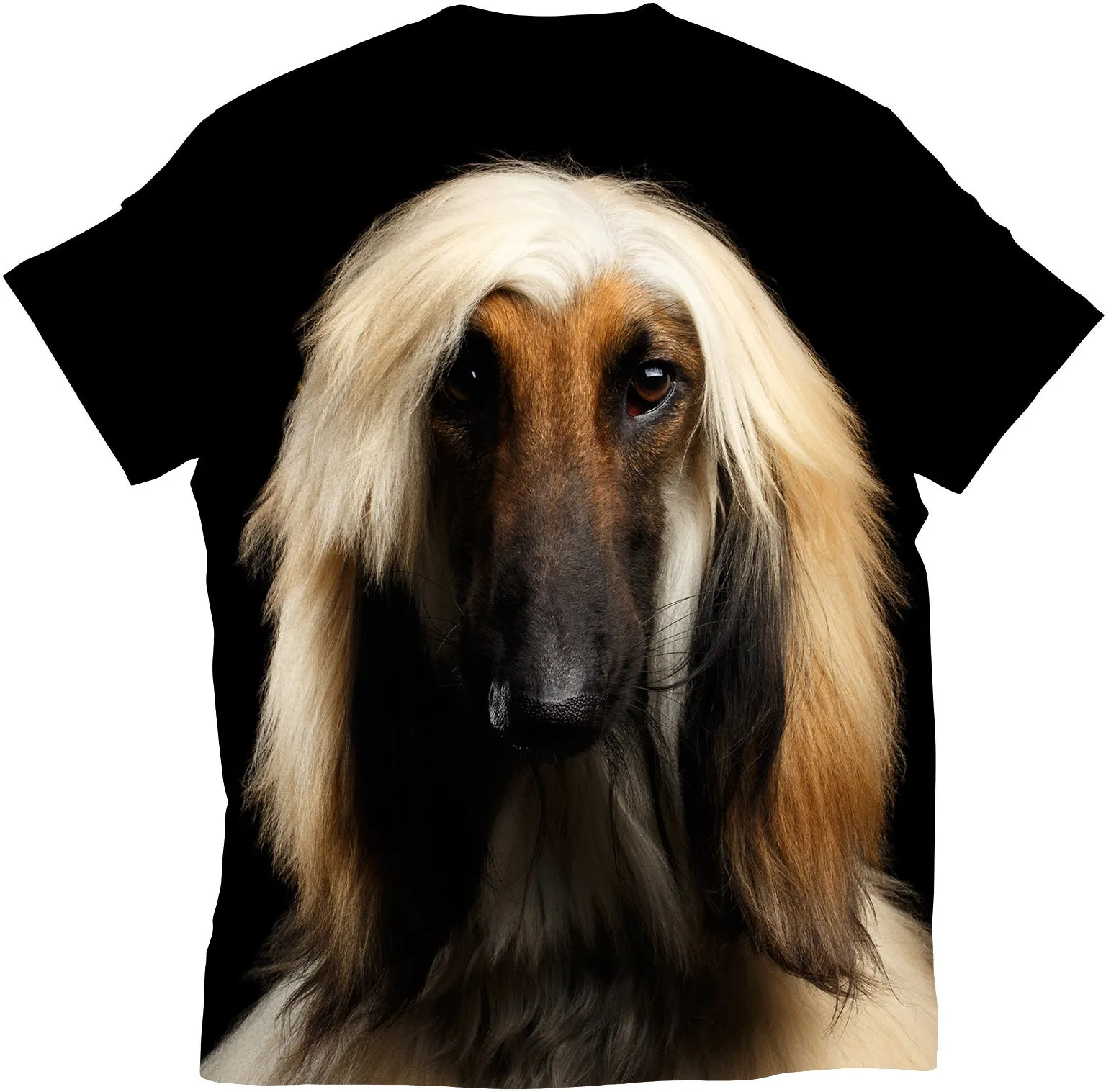 Afghan Hound