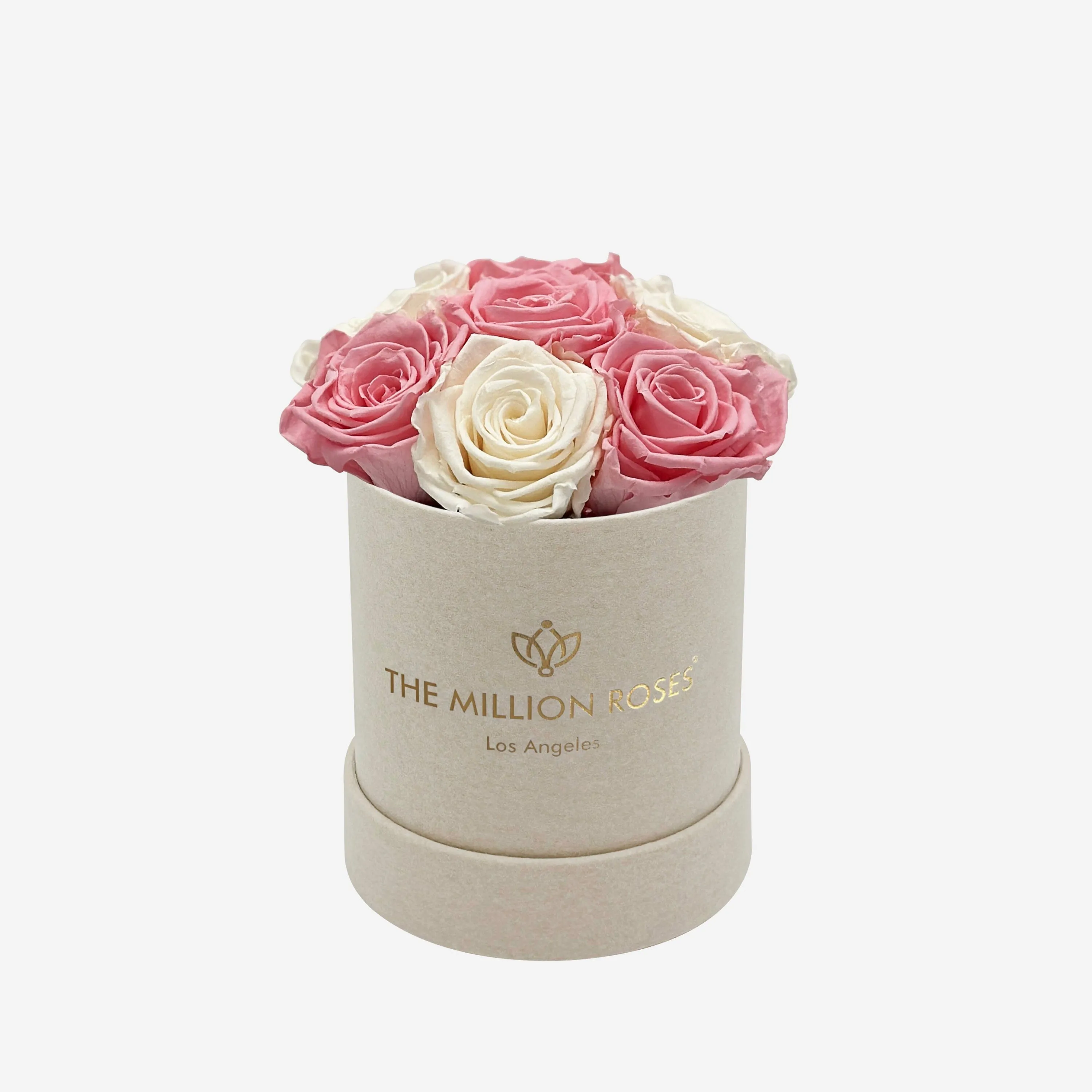 Basic Beige Suede Box | Light Pink & White Roses