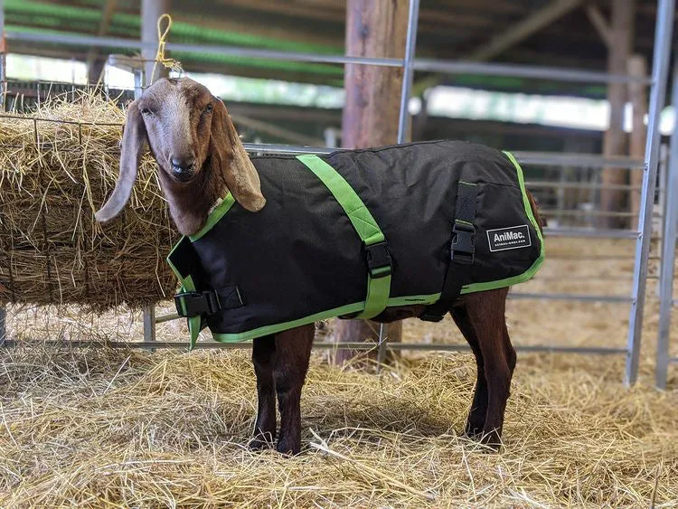 Goat Coat | Waterproof