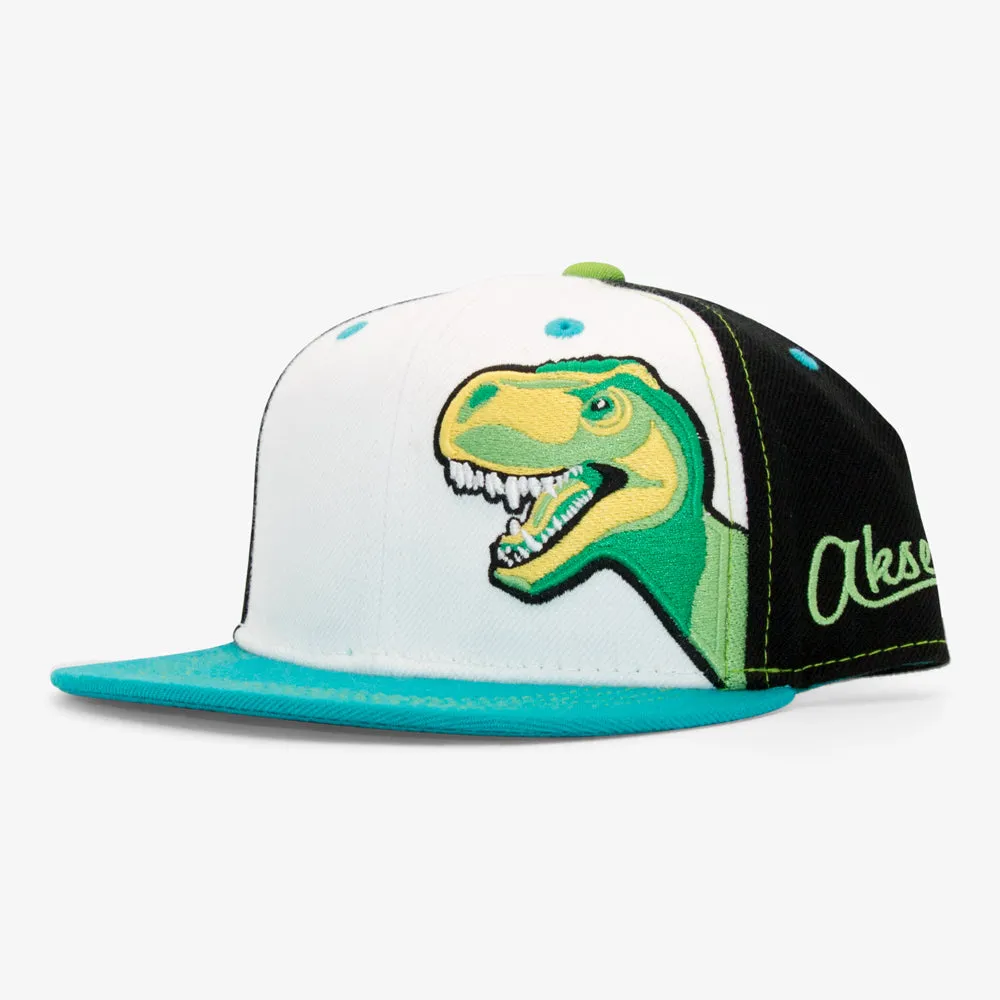 Kids T-Rex Dinosaur Flatbill Snapback Hat