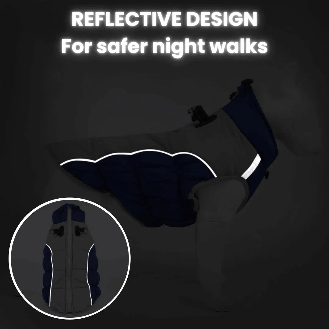 Leash-Ready Reflective Vest