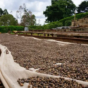 Njuriga Natural - Nyeri