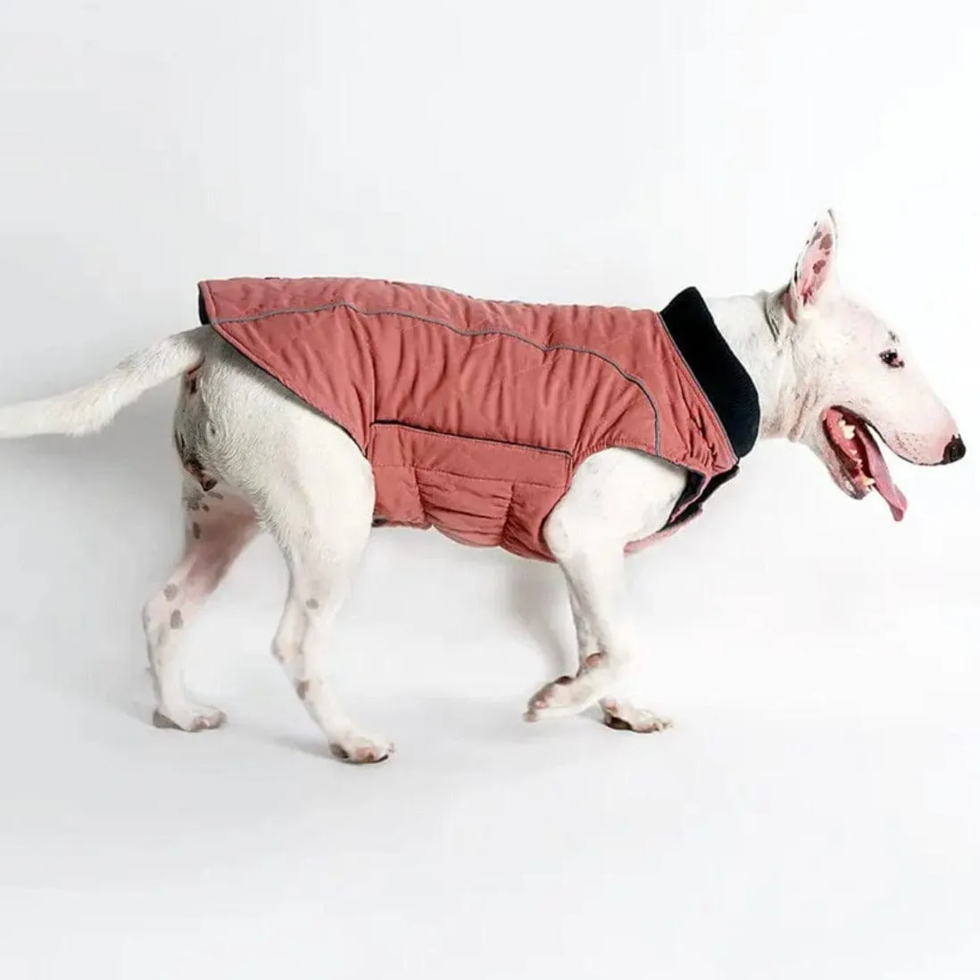 Waterproof Vest With Elastic Collar