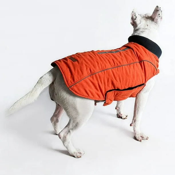 Waterproof Vest With Elastic Collar